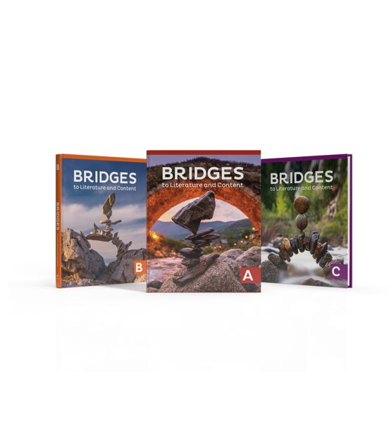 Bridges